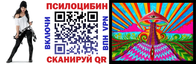 где купить наркоту  Отрадная  Псилоцибиновые грибы GOLDEN TEACHER 